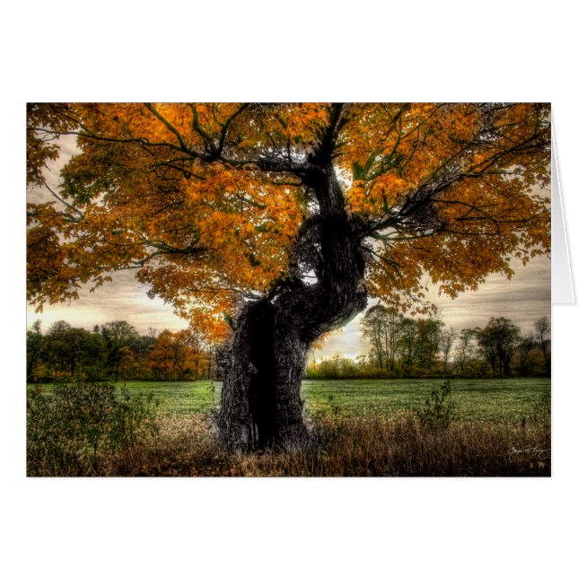 Ahornriese: Karte (Vorderseite (Horizontal))