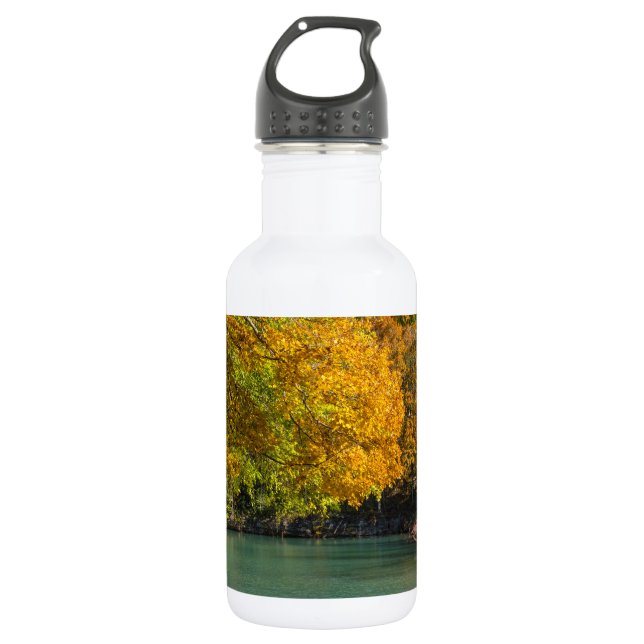 Ahornschirm über Dogwood-Bach aus Edelstahl Edelstahlflasche (Vorderseite)