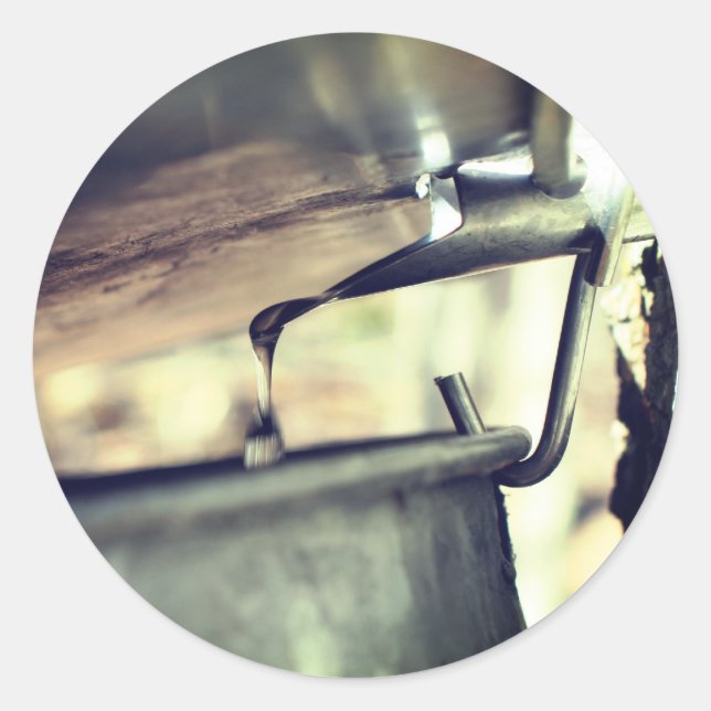 Ahornsirup-Sap Laufende Natur Runder Aufkleber (Vorderseite)