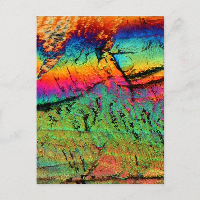 Ahornsirup unter einem Mikroskop Postkarte (Vorderseite)