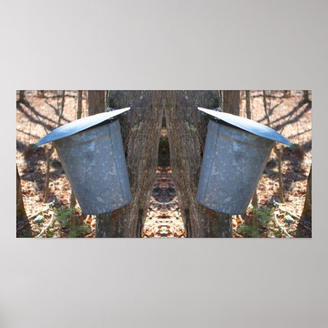 Ahornsirup Zucker Sap Eimer auf Baum Abstrakt Poster (Vorne)