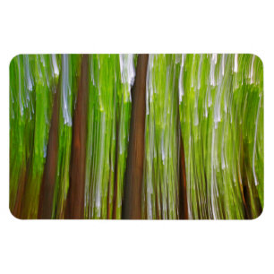 Ahornwald Abstrakt Magnet