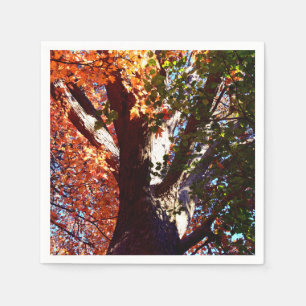 Ahornwald Blätter Herbst botanisch Serviette