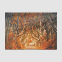 Ahornwald Seidenpapier