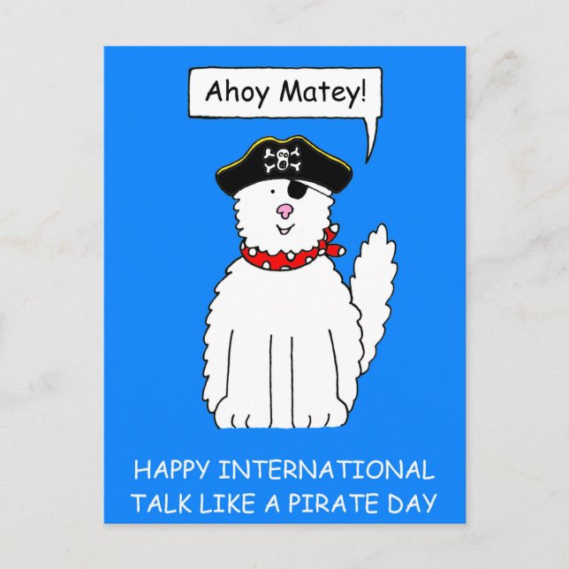 Ahoy Matey redet wie ein Piratentag-Cartoon Cat Postkarte (Vorderseite)