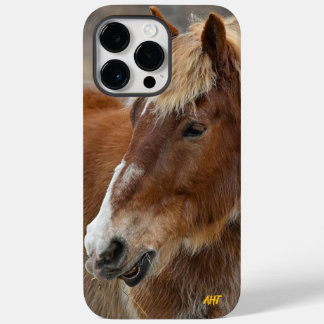 AHT-Pferdescue Case-Mate iPhone 14 Pro Max Hülle