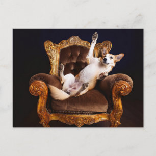 AI Dog Throne Postkarte