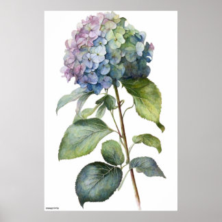 AI generierte Kunst Blue Hydrangea Vintage Wandkun Poster