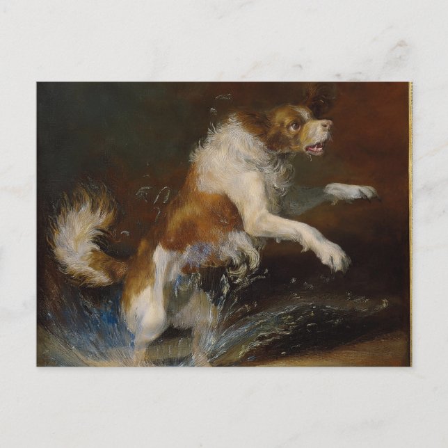 AI Nass Hund Postkarte (Vorderseite)