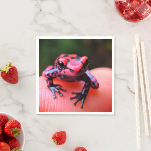 Ai Red Frog Serviette