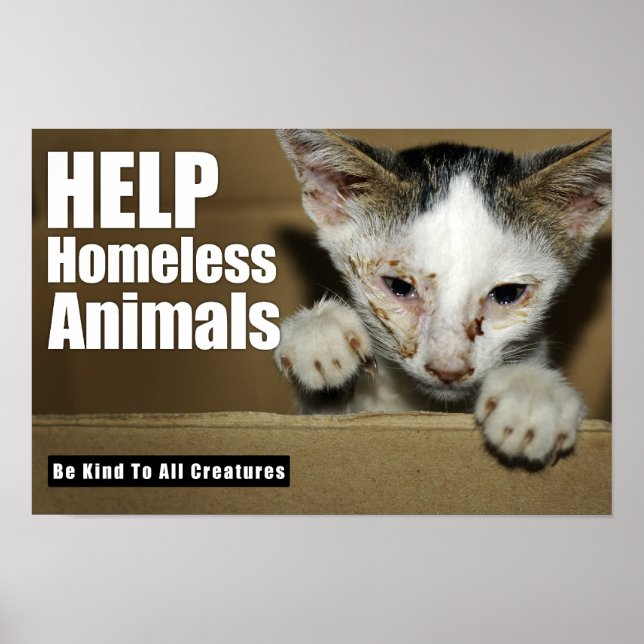 Aide Poster sur les animaux sans abri (Devant)