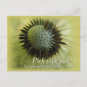 Aider les pissenlits CC0489 Carte postale