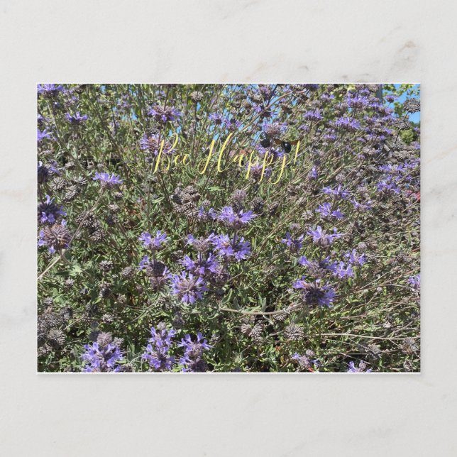 Aie Du Bonheur ! Carte postale Cleveland Sage (Devant)