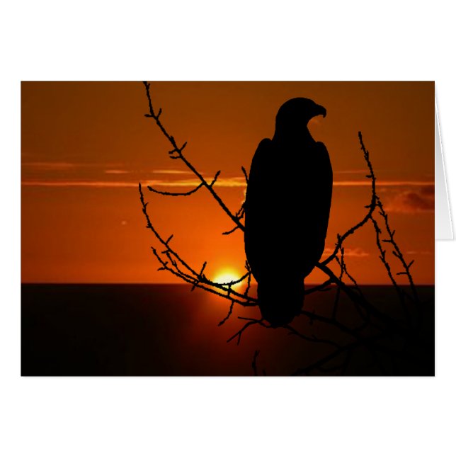 Aigle (Devant horizontal)