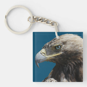 Aigle