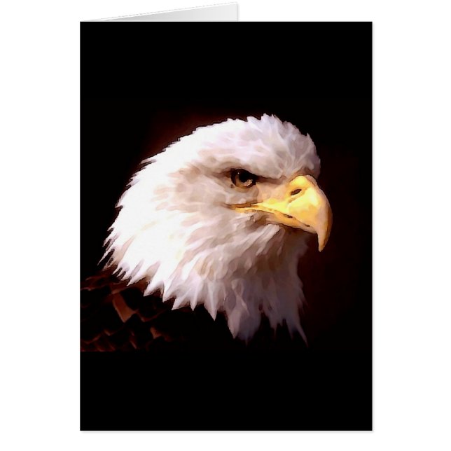 Aigle d'Amérique (Devant)