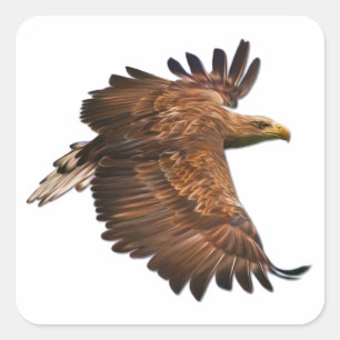 Aigle dans le jeu de stickers Carré