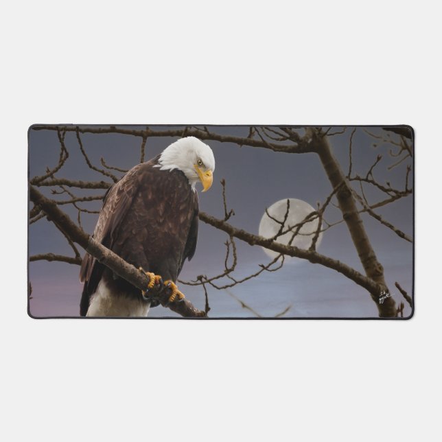 Aigle de Bald sous Pleine lune au coucher du solei (Recto)