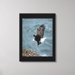 Aigle en toile