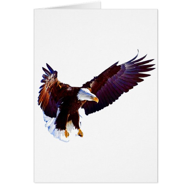 Aigle en vol (Devant)