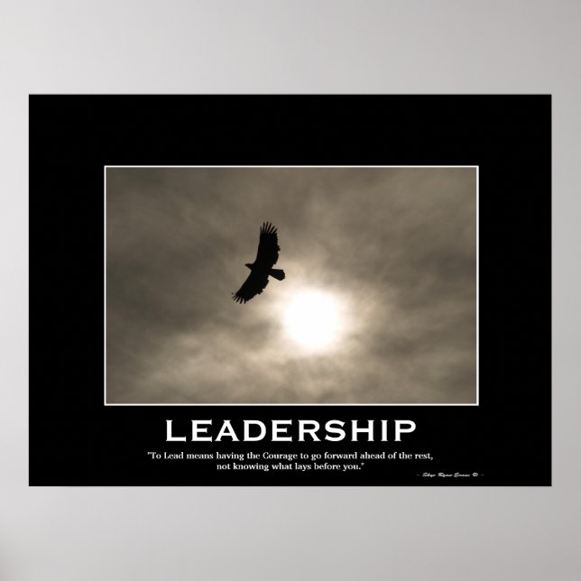 Aigle et soleil LEADERSHIP Motivational Poster (Devant)