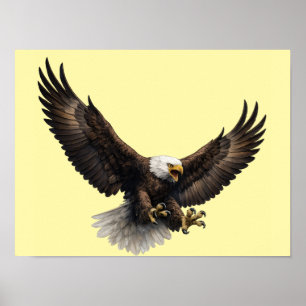 Aigle royal chauve en vol - Art mural faunique