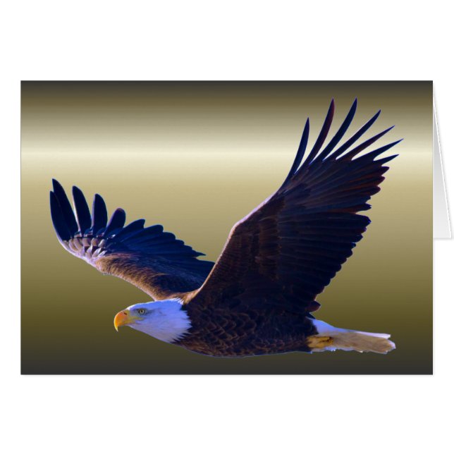 Aigle volant (Devant horizontal)