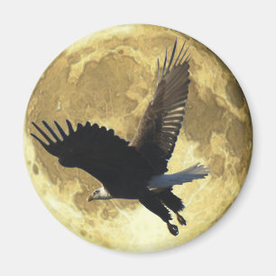 Aigle volant et aimant PLEINE LUNE de la faune