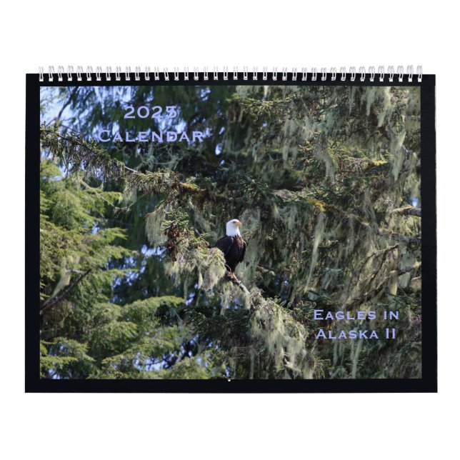 Aigles en Alaska II Calendrier (Protection)
