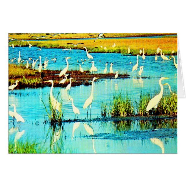 aigrettes enneigés (Devant Horizontal)