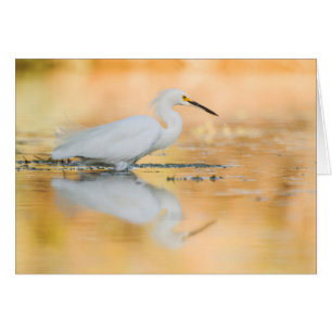 Aiguille quand le soleil se couche