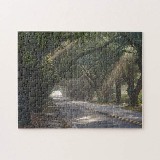Aiken, SC, Südgrenze Ave. Oak-Tunnel (Horizontal)