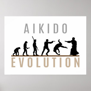 Aikido-Evolution Poster