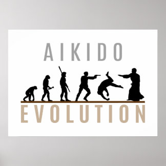 Aikido-Evolution Poster
