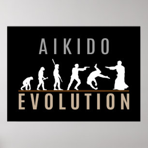 Aikido-Evolution Poster