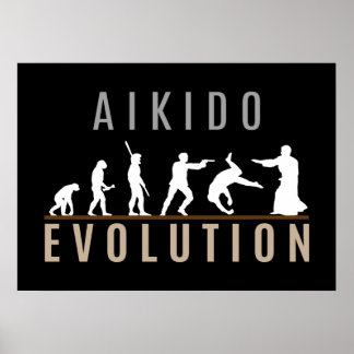 Aikido-Evolution Poster