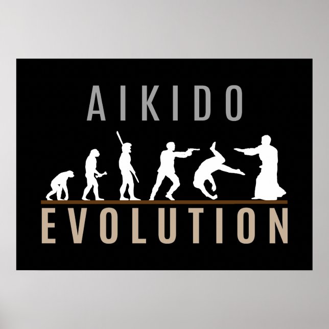 Aikido-Evolution Poster (Vorne)