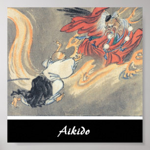 Aikido-Japaner-Kampfkunst Poster