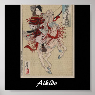 Aikido Japanese Martial Art Poster