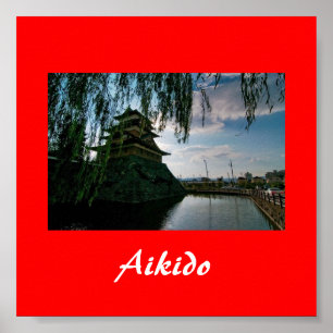 Aikido Japanese Martial Art Poster