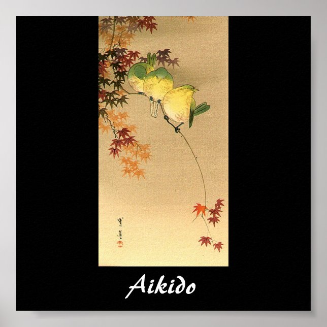 Aikido Japanese Martial Art Poster (Vorne)