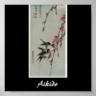 Aikido Japanese Martial Art Poster