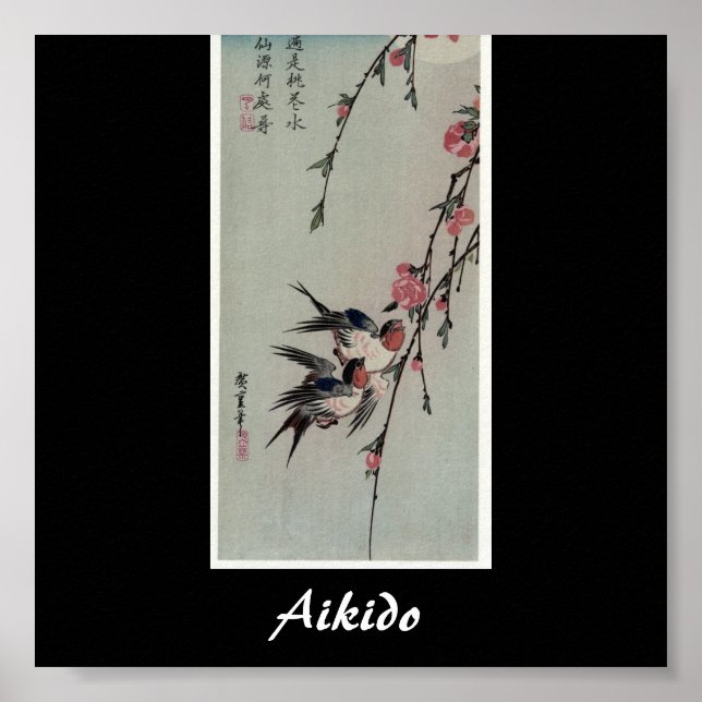 Aikido Japanese Martial Art Poster (Vorne)