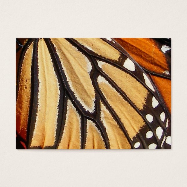 Aile Monarch ~ ATC (Devant)