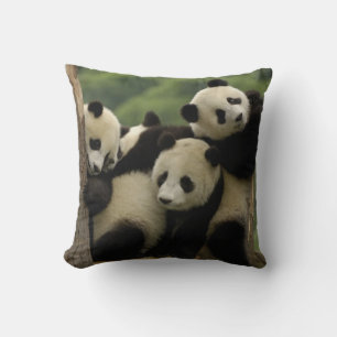 Ailuropoda melanoleuca) kissen