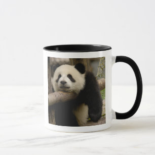 Ailuropoda melanoleuca (Riesenpanda) Tasse