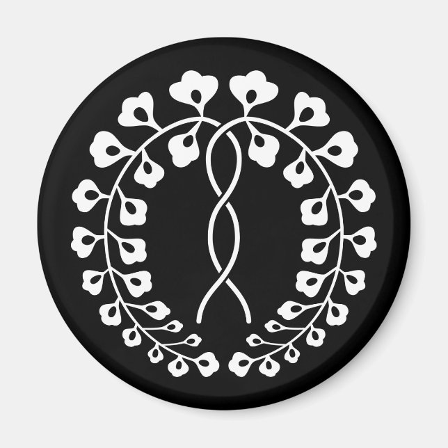 AIMANT 一 藤 条 (Devant)