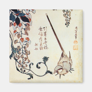 Aimant 藤 に キ イ, 北 Wagtail et Wisteria, Hokusai, Ukiyo-e