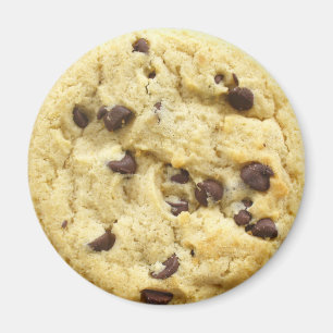 Aimant 0008 de biscuit