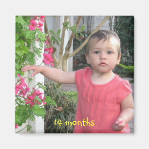 Aimant 14 mois, 14 mois
